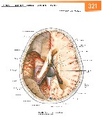 Sobotta Atlas of Human Anatomy  Head,Neck,Upper Limb Volume1 2006, page 328